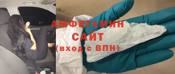 сатива Новозыбков