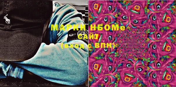 сатива Новозыбков
