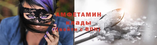 сатива Новозыбков