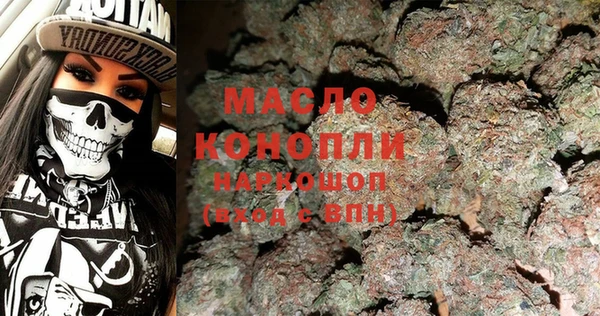 сатива Новозыбков