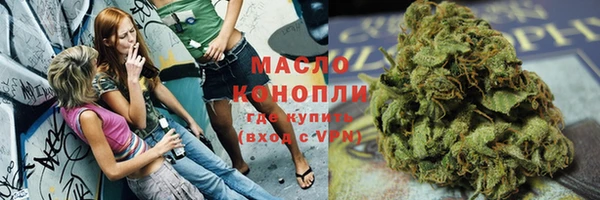 сатива Новозыбков